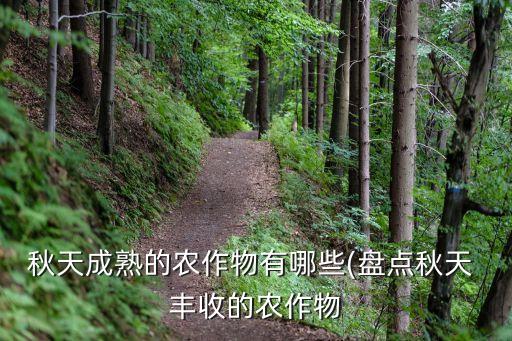 农业种植什么丰收