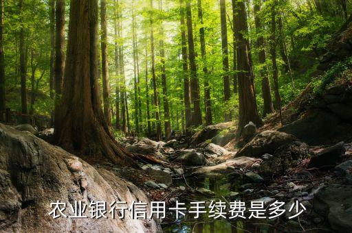  农业银行信用卡手续费是多少