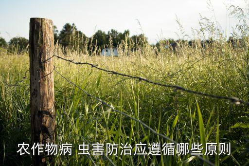 农业怎么预防虫害发生事故