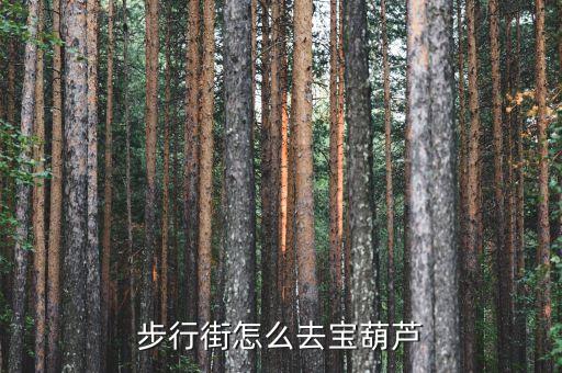 步行街怎么去宝葫芦
