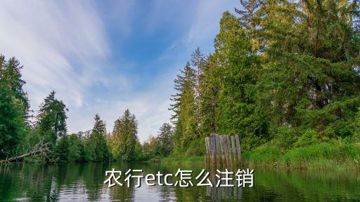 农业etc怎么解绑银行卡,Etc解绑以后怎么处理