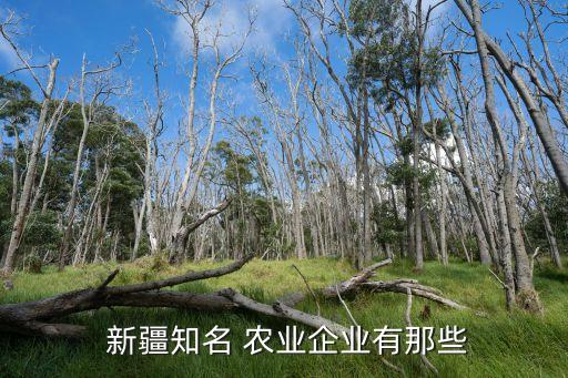  新疆知名 农业企业有那些