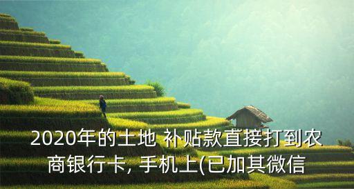 农业补贴用手机怎么查到