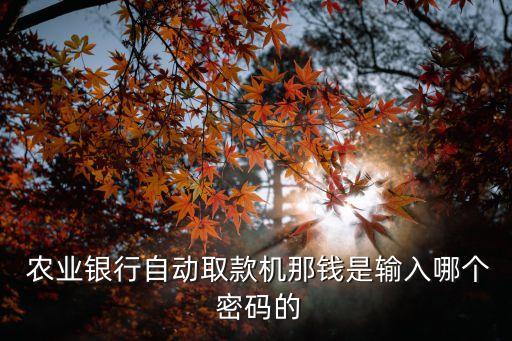 农业银行取钱要什么密码