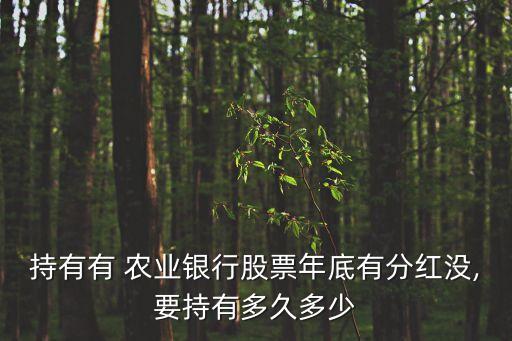 农业银行股息怎么买