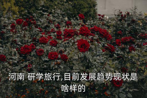 河南 研学旅行,目前发展趋势现状是啥样的