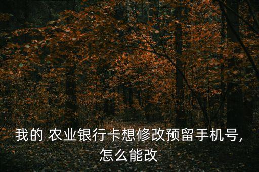 农业银行手机卡怎么更换