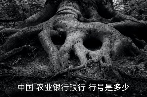 农业app怎么查联行号