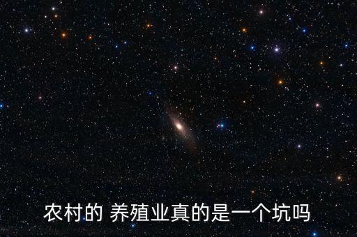 亿聚农业养殖怎么样,湖北孝感亿聚农业养殖