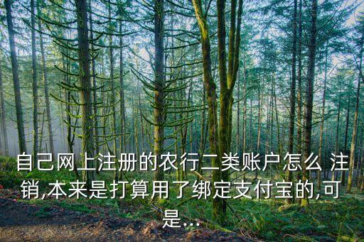 自己网上注册的农行二类账户怎么 注销,本来是打算用了绑定支付宝的,可是...