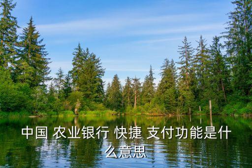 农业卡怎么看快捷支付,工商银行怎么看绑定了哪些快捷支付
