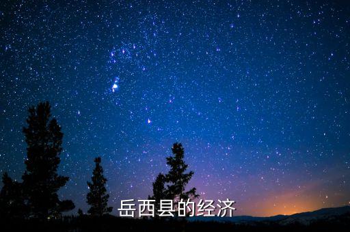  岳西县的经济