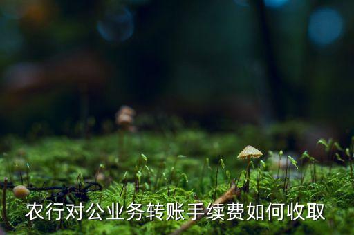 农行对公业务转账手续费如何收取