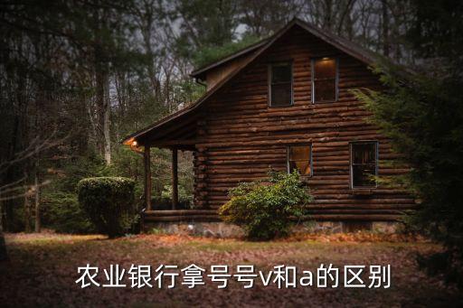  农业银行拿号号v和a的区别