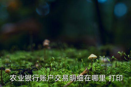 农业银行手机怎么打印流水