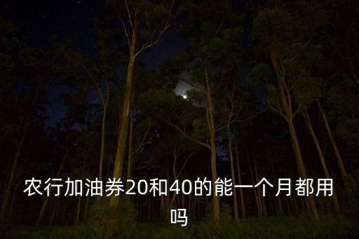 农业银行加油券怎么用划算