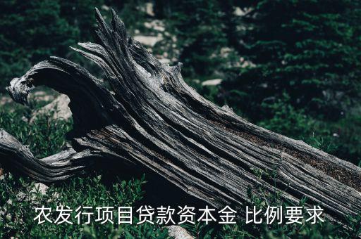 农发行项目贷款资本金 比例要求