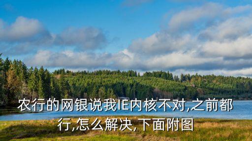 农业银行k宝怎么加载ie