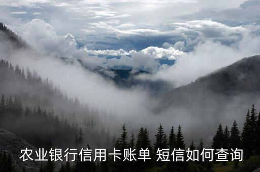 农业银行怎么查短信费