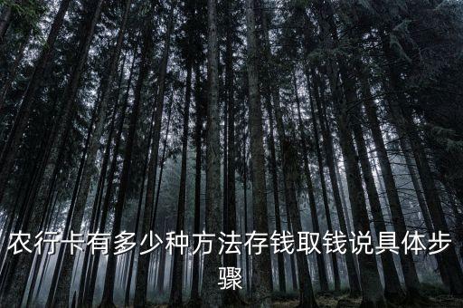 农业银行现金怎么取出视频