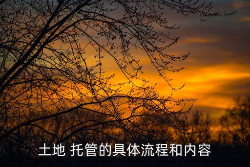 土地 托管的具体流程和内容