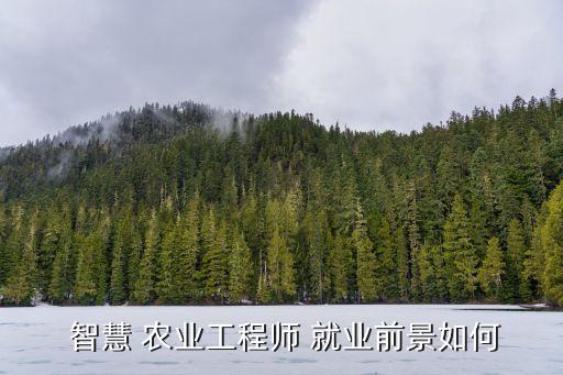  智慧 农业工程师 就业前景如何
