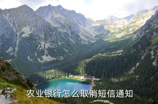 农业银行提醒事项怎么不提醒