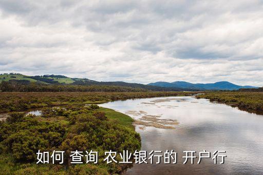 如何 查询 农业银行的 开户行