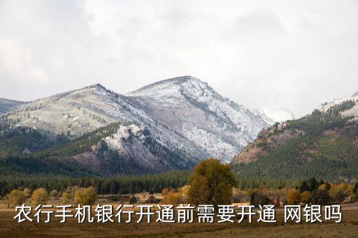 农行手机银行开通前需要开通 网银吗