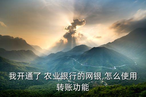 我开通了 农业银行的网银,怎么使用转账功能