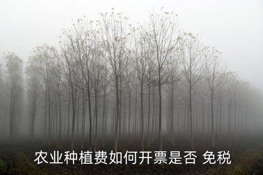 农业免税发票怎么纳税申报,23年开具免税发票的如何纳税申报