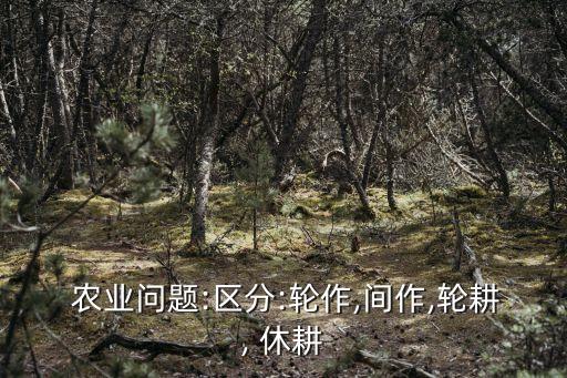 什么是农业休耕,耜耕阶段属于什么农业