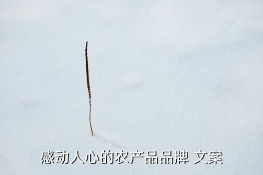 九月农业文案怎么写好
