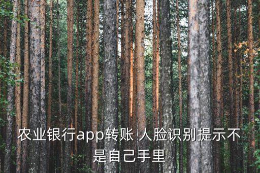 农业银行app转账 人脸识别提示不是自己手里