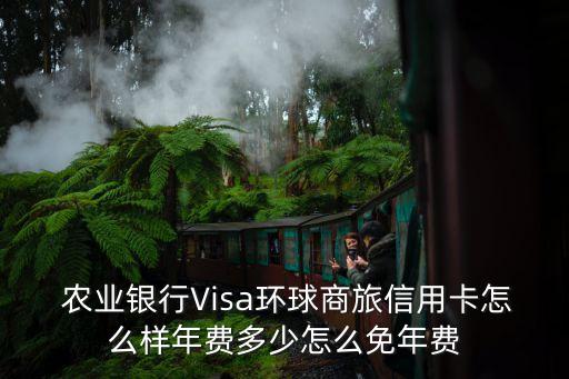  农业银行Visa环球商旅信用卡怎么样年费多少怎么免年费