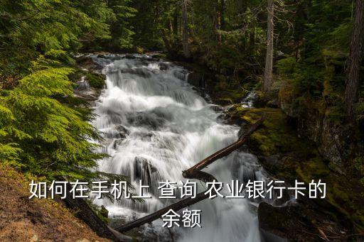 如何在手机上 查询 农业银行卡的 余额