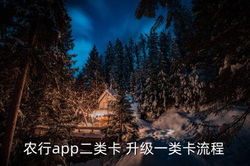 农业怎么升级1卡,农业借记卡升级为一类卡