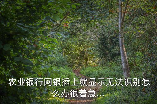 root后怎么使用农业银行,农业银行app检测root