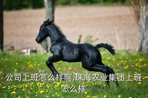 农业公司上班怎么样啊,珠海农业集团上班怎么样