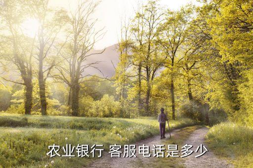 在农业银行抽奖怎么找客服,农业银行抽奖怎么使用