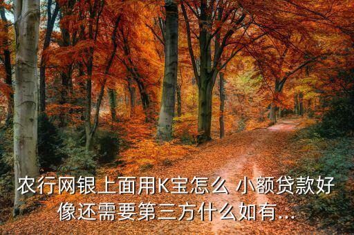 农业银行小额借款怎么借