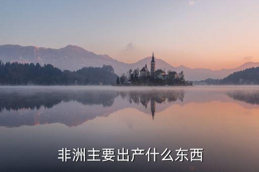 非洲农业集市上卖什么