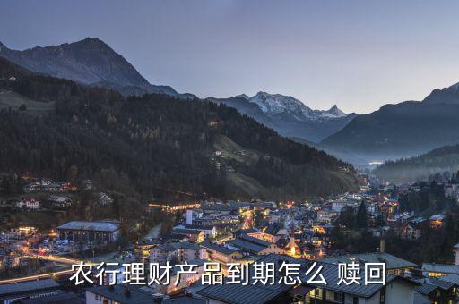 农业银行银利多怎么赎回