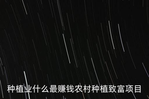种植业什么最赚钱农村种植致富项目