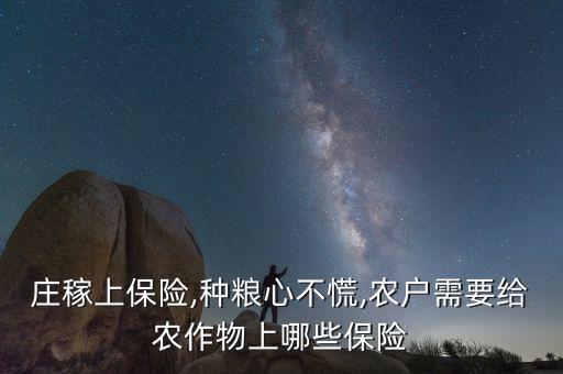 农业产品保险怎么买,丰富农业产品保险体系
