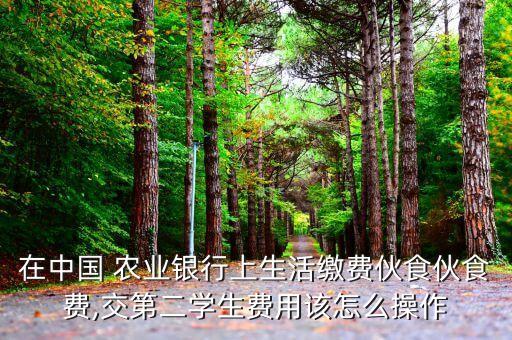 农业银行饭费怎么交费,学生饭费在手机农业银行怎么交
