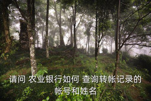 农业银行的对账单怎么查询
