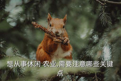 想从事休闲 农业,需要注意哪些关键点