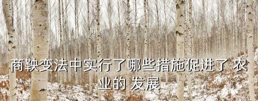 商鞅变法中实行了哪些措施促进了 农业的 发展