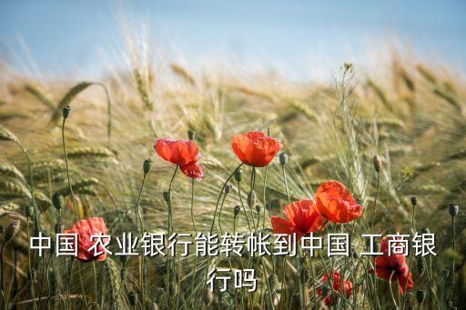 中国 农业银行能转帐到中国 工商银行吗